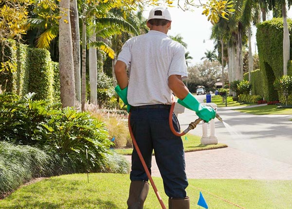 About Sharon WI Pest Control